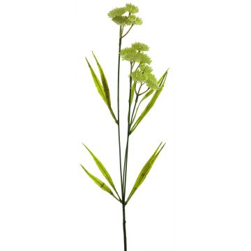 Rama decorativa de viburnum YUTIAN, verde crema, 50cm