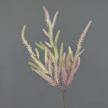 Astilbe de plástico QIMEI, rosa oscuro-verde, 70cm