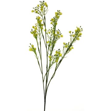 Gypsophila decorativa LINFENG, amarillo, 70cm