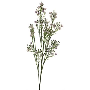 Gypsophila decorativa LINFENG, púrpura, 70cm