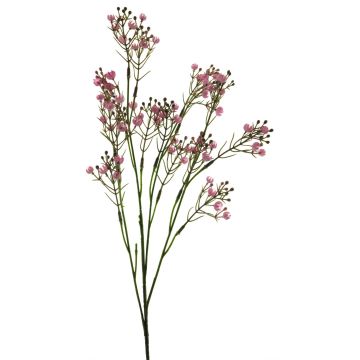 Gypsophila decorativa LINFENG, rosa, 70cm