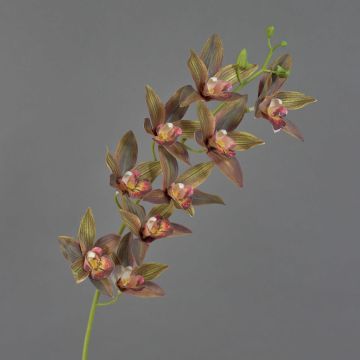 Rama decorativa de orquídea cymbidium YAMEI, rojo-verde oscuro, 80cm