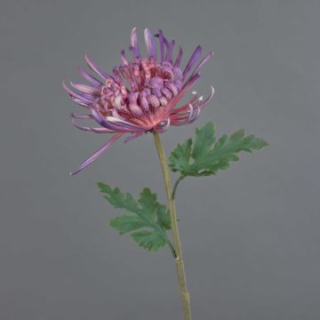 Crisantemo decorativo YASULI, púrpura, 70cm