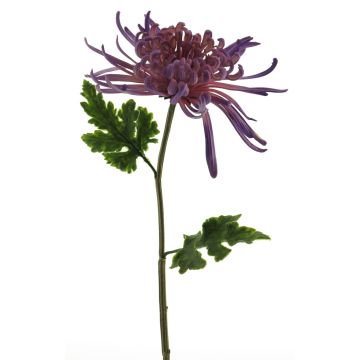 Crisantemo decorativo YASULI, púrpura, 70cm