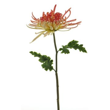 Crisantemo decorativo YASULI, rosa-amarillo, 70cm