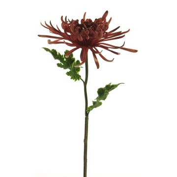 Crisantemo decorativo YASULI, burdeos, 70cm