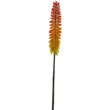 Kniphofia artificial QIUMIN, naranja, 85cm