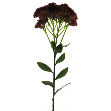 Flor decorativa de Sedum telephium SHUNFEI, burdeos, 60cm