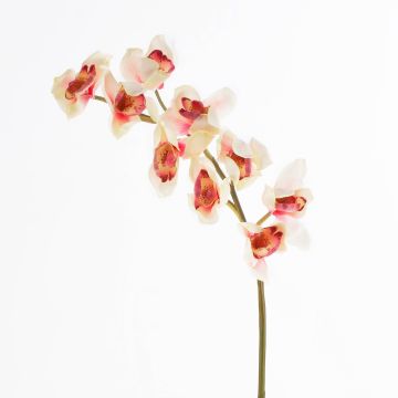 Rama orquídea Cymbidium plástico OKSANA, crema-rosa, 80cm, Ø6,5cm