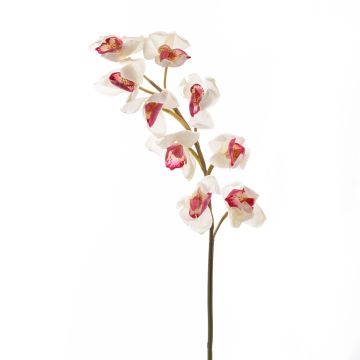 Rama orquídea Cymbidium plástico OKSANA, blanco-fucsia, 80cm, Ø6,5cm