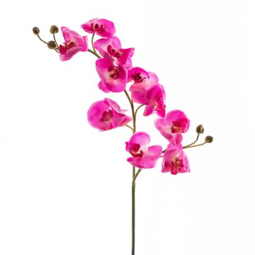 Rama de orquídea Phalaenopsis falsa STINA, fucsia, 90cm, Ø7-9cm