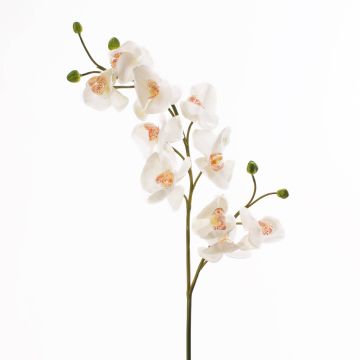 Rama de orquídea Phalaenopsis falsa STINA, blanco, 90cm, Ø7-9cm