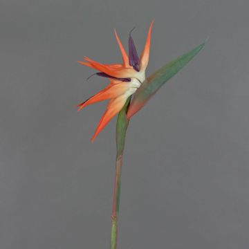Strelitzia de plástico ZAMIRA, naranja-violeta, 95cm, 16x30cm