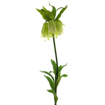 Flor artificial de corona imperial YATAO, verde crema, 120cm
