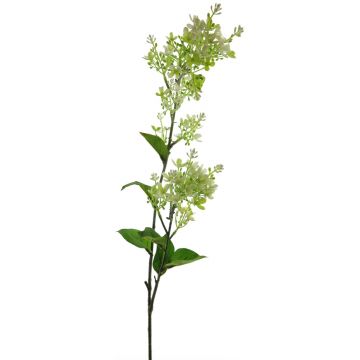 Planta de seda artificial TIANLIN, crema, 90cm