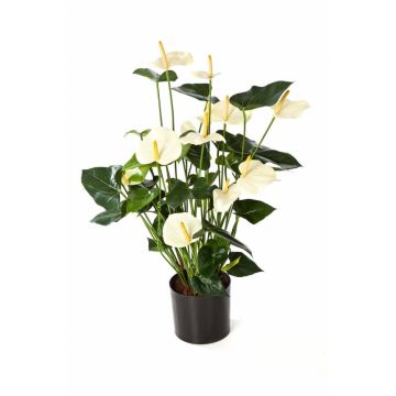 Flor Anthurium artificial LEVANA, crema, 80cm, 8x10cm