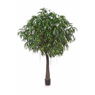 Longifolia artificial CHAMIL, tronco artificial, verde, 270cm