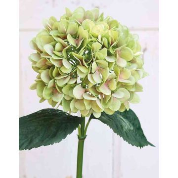 Hortensia artificial THABEA, verde-rosa, 65cm