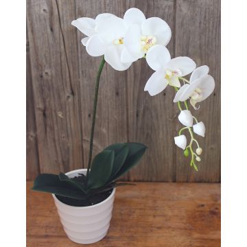 Orquídea Phalaenopsis artificial SAHRA, maceta decorativa, blanco, 70cm