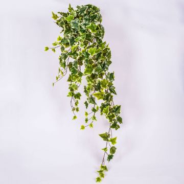 Colgante de yedra artificial MAJA, vara fijación, verde-blanco, 100cm