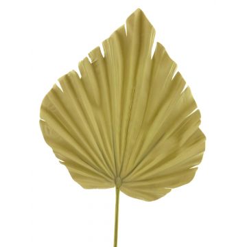 Hoja artificial de palmera Washingtonia RUNING, beige-amarillo, 60cm