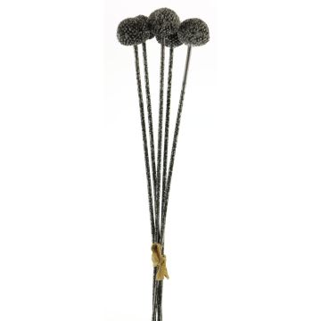 Ramo artificial de allium ANSHUO, plata, 60cm