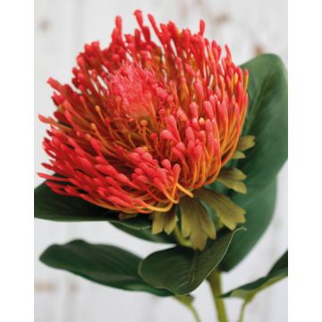 Flor falsa protea TANJA, rojo-naranja, 65cm
