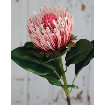 Flor falsa protea TANJA, rosa-rosa, 65cm