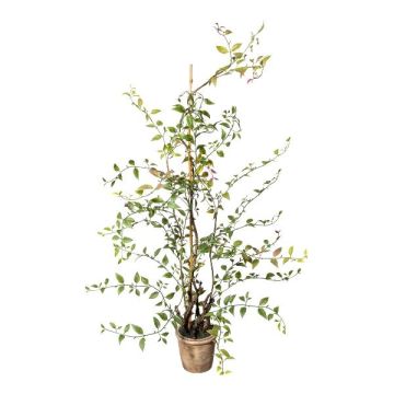 Planta artificial Mühlenbeckia MURAHIN, maceta de cemento, verde, 100 cm