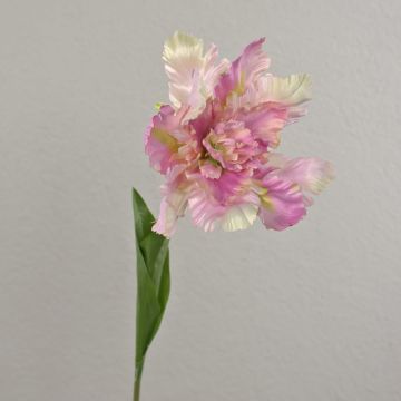 Flor artificial tulipán papagayo ALISCHA, rosa claro, 70 cm