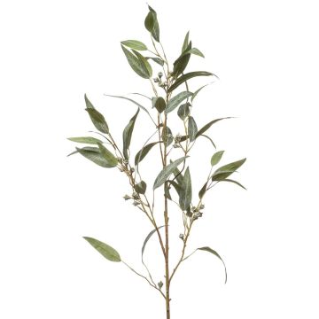 Rama artificial de eucalipto JURKA con frutos, verde-gris, 115 cm