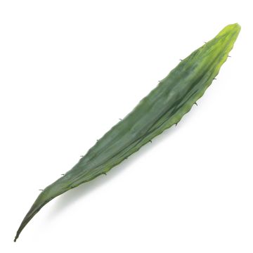 Hoja artificial de Aloe Vera KATALINA, zona transversal, verde, 60cm