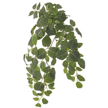 Planta artificial Fittonia LONFYN, varilla, colgante, verde, 75 cm Planta artificial Fittonia LONFYN, varilla, colgante, verde, 75 cm