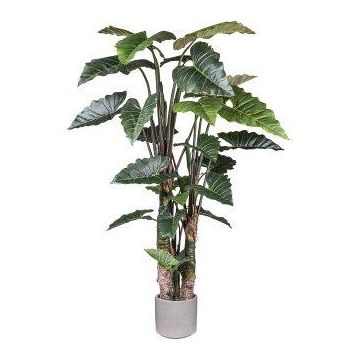 Planta artificial Colocasia LUMHER, tronco artificial, maceta de cemento, verde, 260 cm Planta artificial Colocasia LUMHER, tronco artificial, maceta de cemento, verde, 260 cm