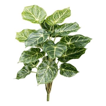 Planta decorativa Anthurie VOLHAN, varilla, verde-blanca, 50 cm