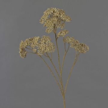 Rama decorativa de milenrama ORTEGA, beige, 70 cm, Ø 4 cm