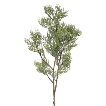 Rama decorativa de ciprés artificial SILVARIO, gris verdoso, 75 cm