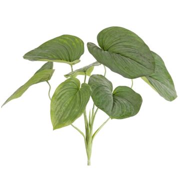 Planta artificial Funkie RAIATEA en varilla, verde, 65 cm