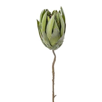 Flor artificial Protea LINDAR, verde, 70 cm