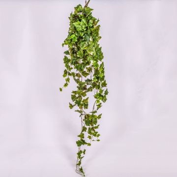 Colgante de yedra artificial MAJA, en vara de fijación, verde, 120cm