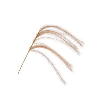 Pana artificial LUMINIA, beige, 135 cm