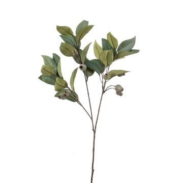 Rama artificial de eucalipto VIZIMIR con frutos, verde, 80 cm