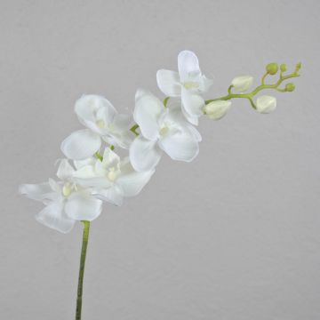 Rama de orquídea Phalaenopsis artificial AMARNE, blanca, 90 cm