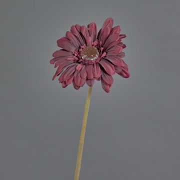 Gerbera artificial TUNGUSKA, aspecto seco, rojo burdeos, 50 cm