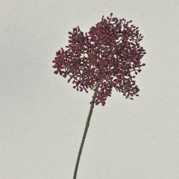 Viscum VARINKA con brotes, aspecto seco, rojo burdeos, 55 cm