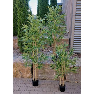 Bambú artificial SEUMAS, cañas de bambú auténticas, 120 cm