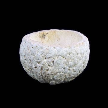 Media cáscara de coco IMANY, blanco encalado, 7 cm, Ø 10 cm Media cáscara de coco IMANY, blanco encalado, 7 cm, Ø 10 cm