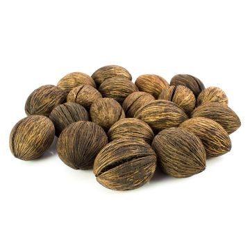 Nueces del árbol del Cerbero Mintola KARABO, marrón, 20 unidades, 5 x 6 cm