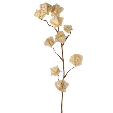 Rama artificial de physalis AINOS, frutos, purpurina, crema, 80 cm