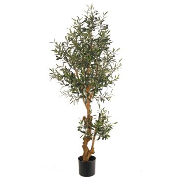 Olivo falso LAILANA, frutos, tronco artificial, 150 cm